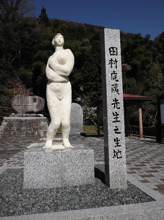 cՑ搶Vn