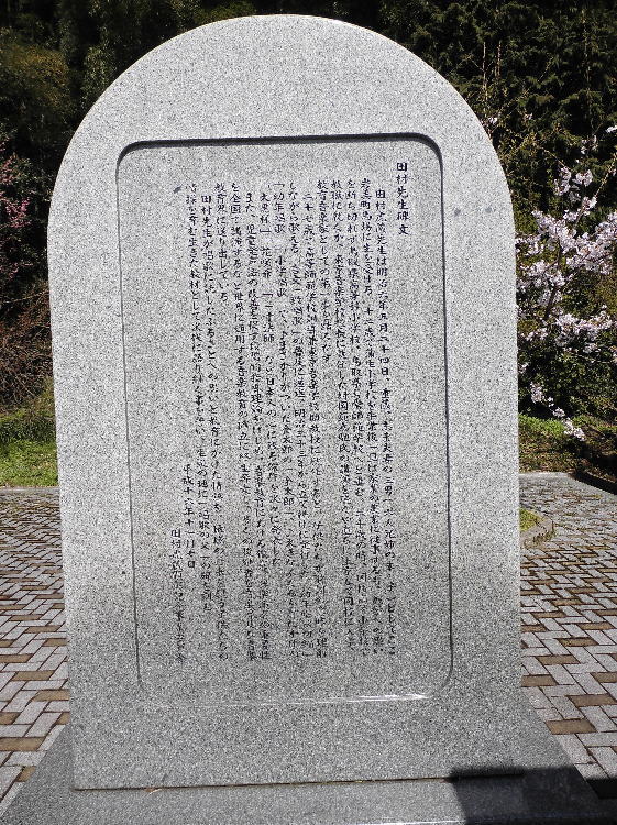 c搶蕶