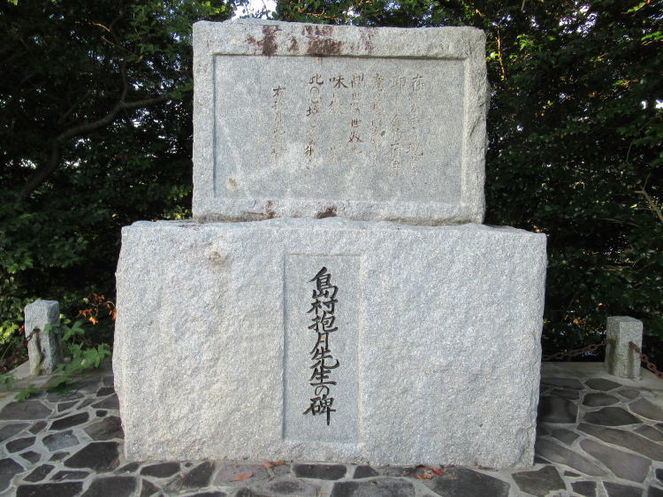 ���������搶�̔�