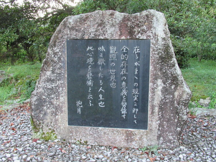 �����������w��