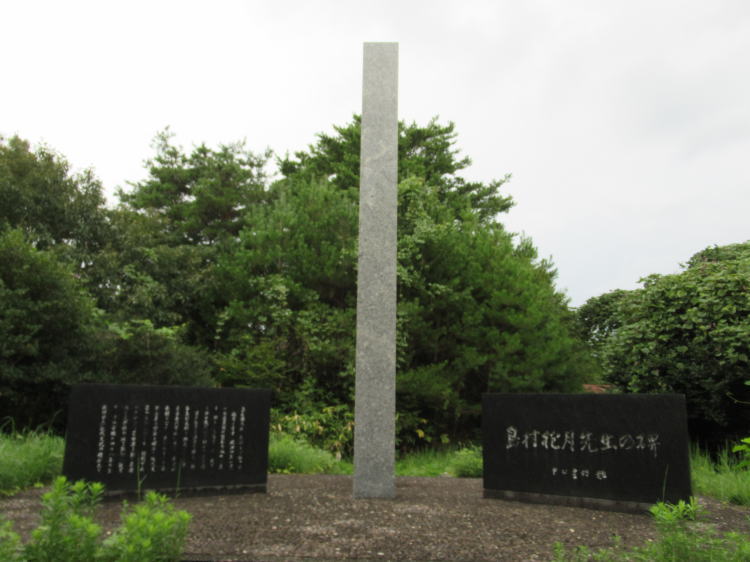 ���������搶�̔�