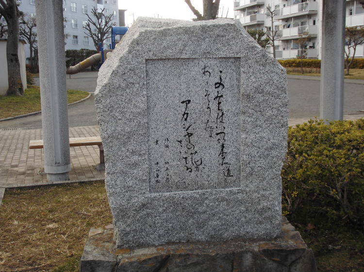 ̓