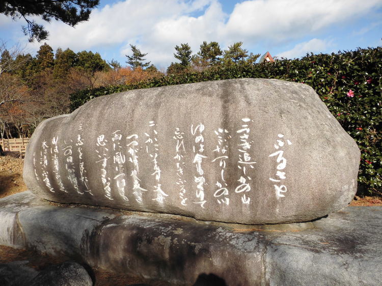 ̋