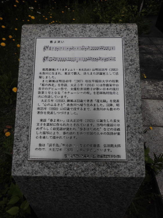 t旈