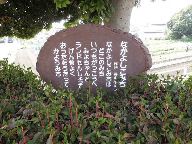 悵