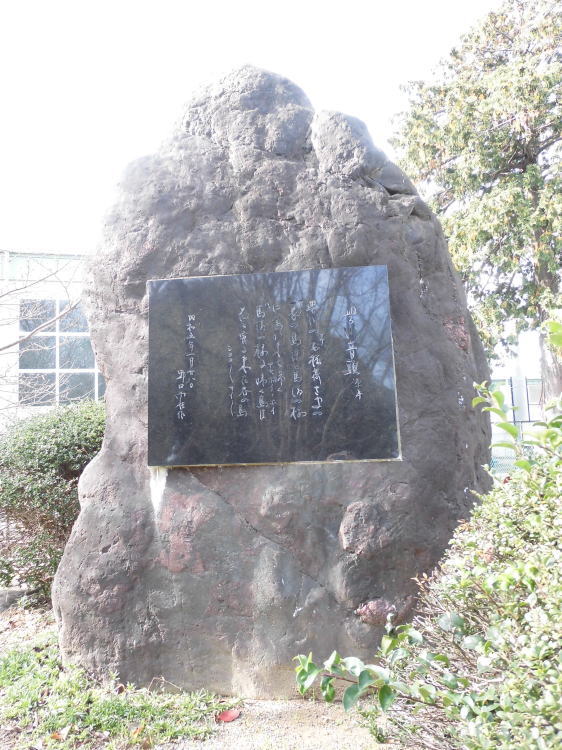 L쉹