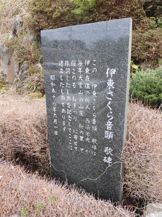 ɓ特