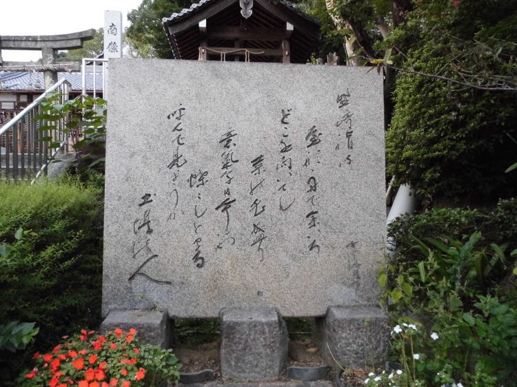 菬S