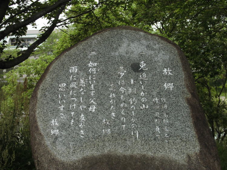 ̋