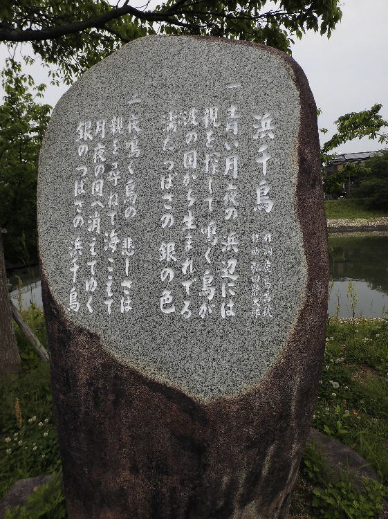l璹