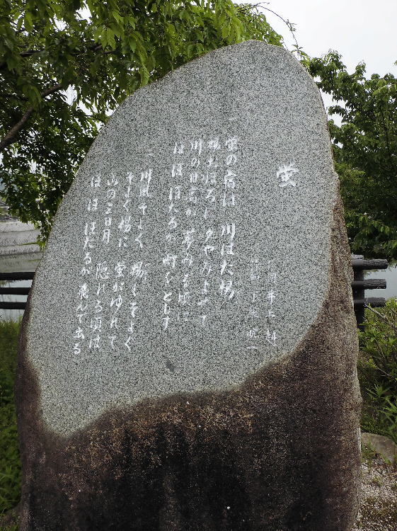 蛍