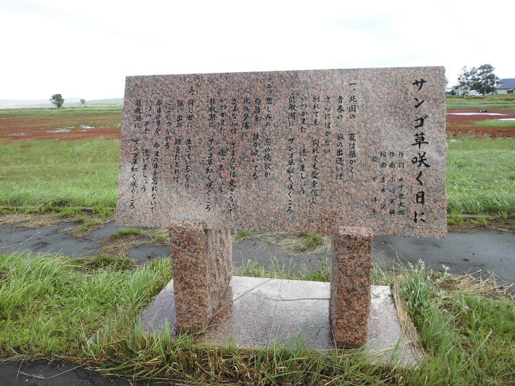 TS炭