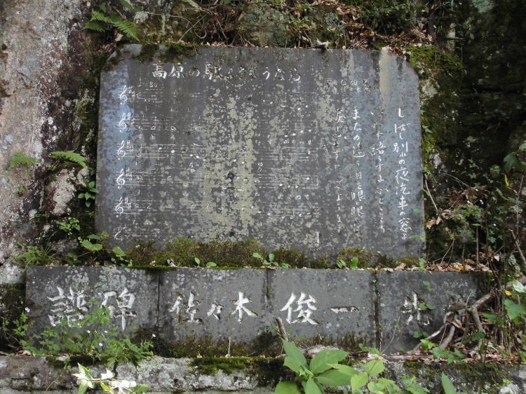 ̉w悳悤Ȃ
