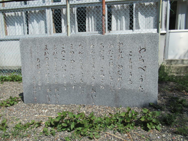 肤