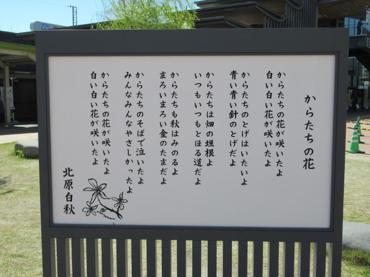 炽̉
