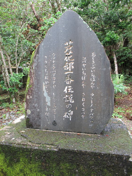 芦花部一番