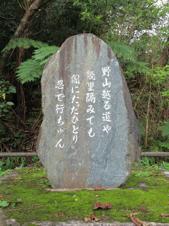 恥うすい
