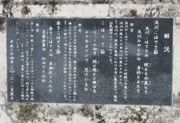 こはでさ節