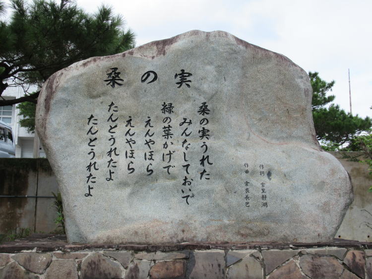 桑の実