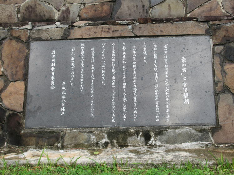 桑の実