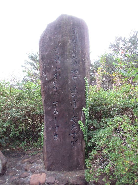 白瀬ぶれ松