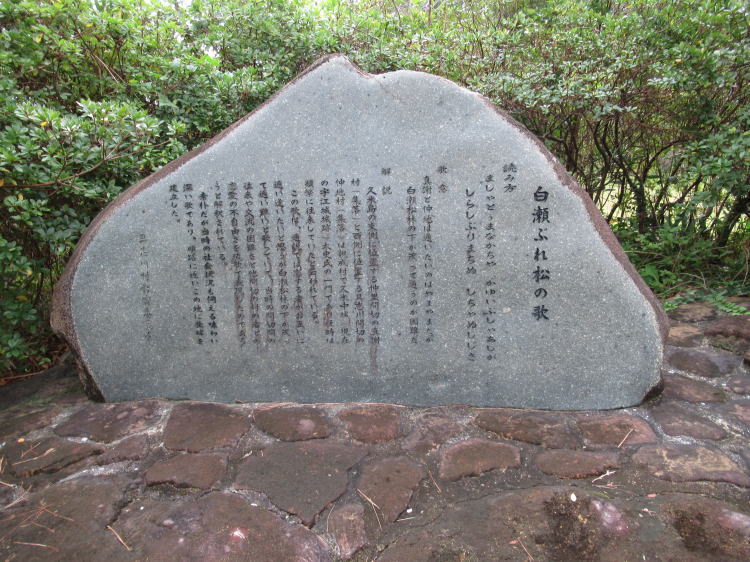 白瀬ぶれ松