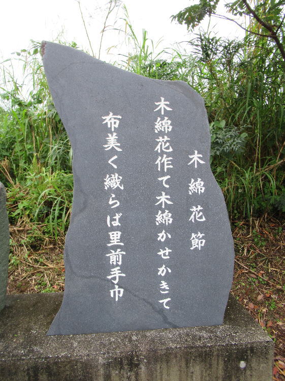 木綿花節