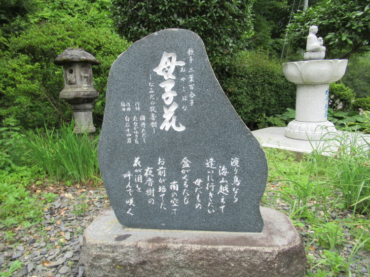 q -Ȃ݂̖鍁-