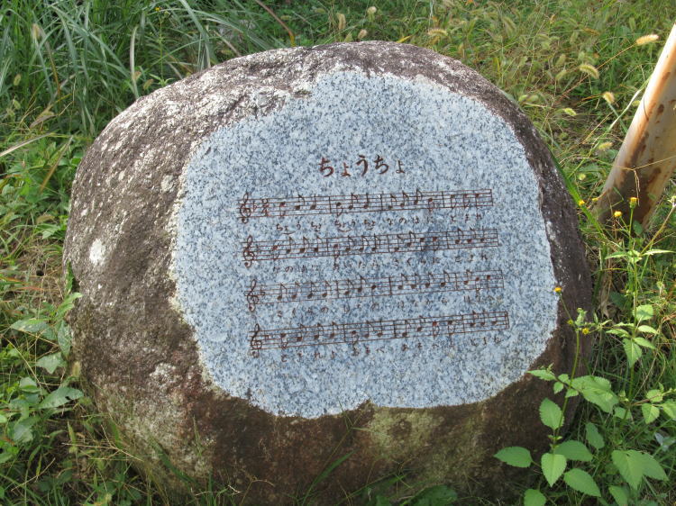 傤