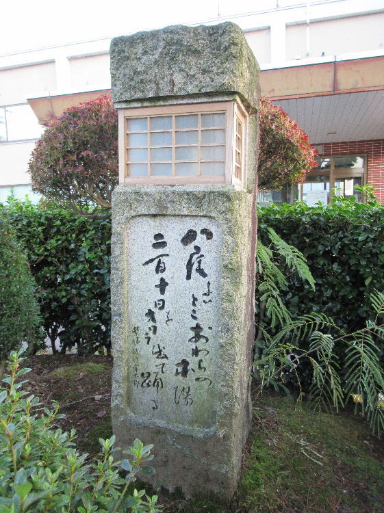 肳