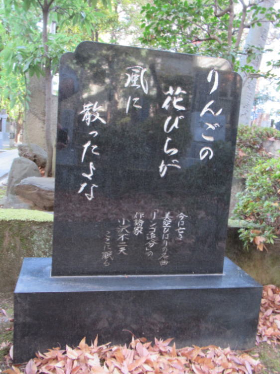 SǕ