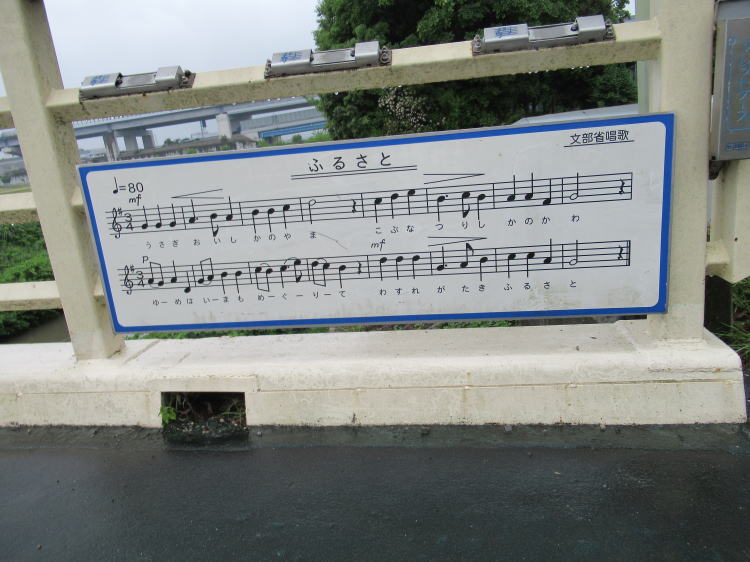 ̋