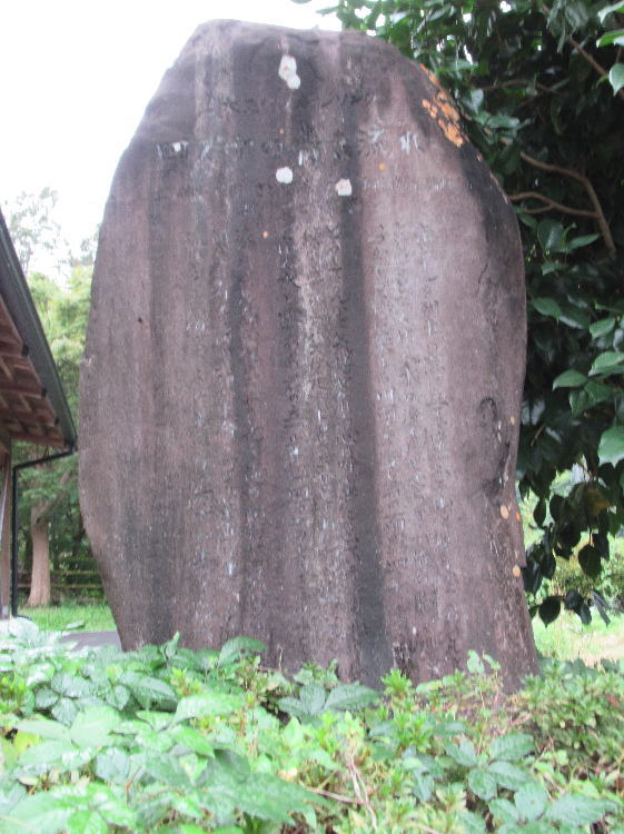 �l���\�̐�����