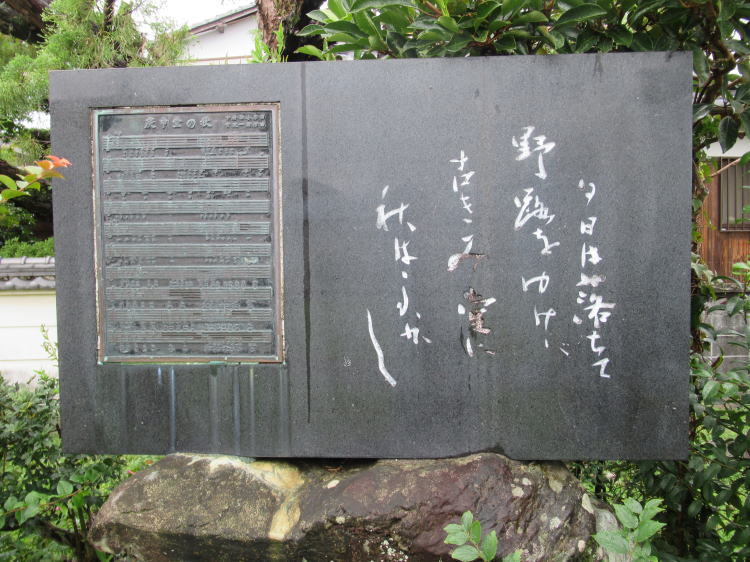 �M�\���̉�