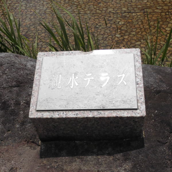 nPV